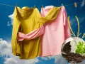 Capi stinti, rimedi della nonna: camicie gialla e rosa stese al sole, con un vasetto di semi di senape e prezzemolo.
