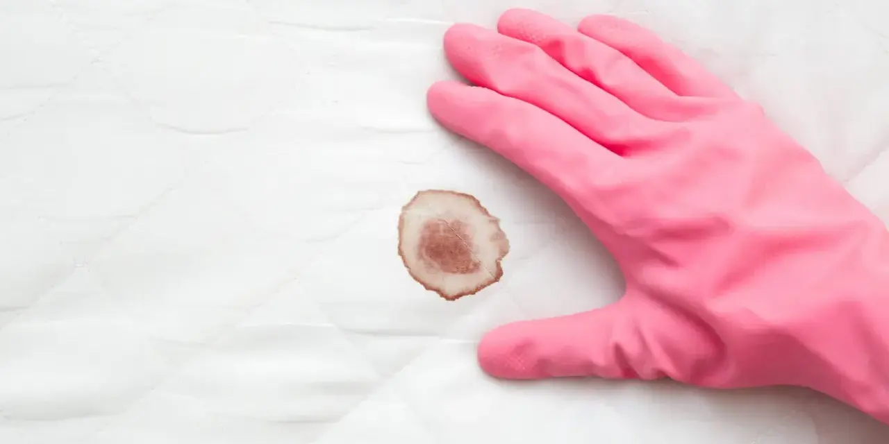 Guanto rosa pronto a rimuovere macchie di sangue da un materasso.