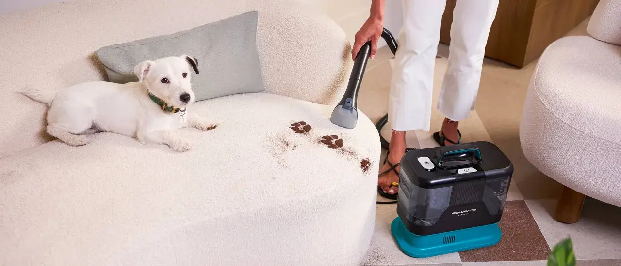 Un cane ha lasciato impronte fangose sul divano in tessuto. Una persona usa un aspiratore per pulire, mostrando come pulire il divano in tessuto.