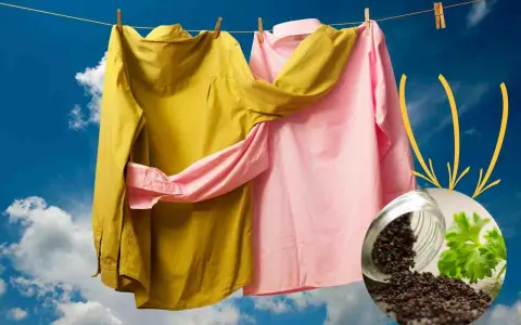 Capi stinti, rimedi della nonna: camicie gialla e rosa stese al sole, con un vasetto di semi di senape e prezzemolo.