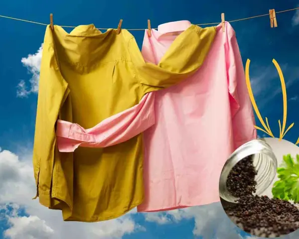 Capi stinti, rimedi della nonna: camicie gialla e rosa stese al sole, con un vasetto di semi di senape e prezzemolo.
