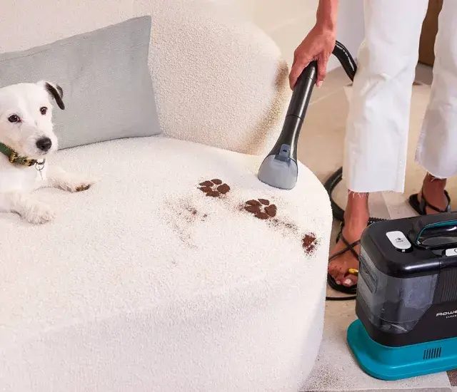 Un cane ha lasciato impronte fangose sul divano in tessuto. Una persona usa un aspiratore per pulire, mostrando come pulire il divano in tessuto.