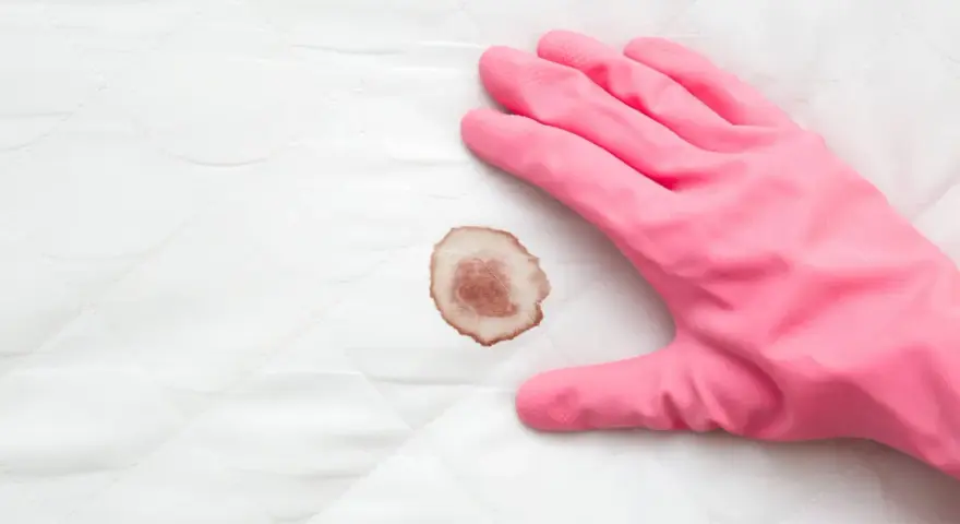 Guanto rosa pronto a rimuovere macchie di sangue da un materasso.