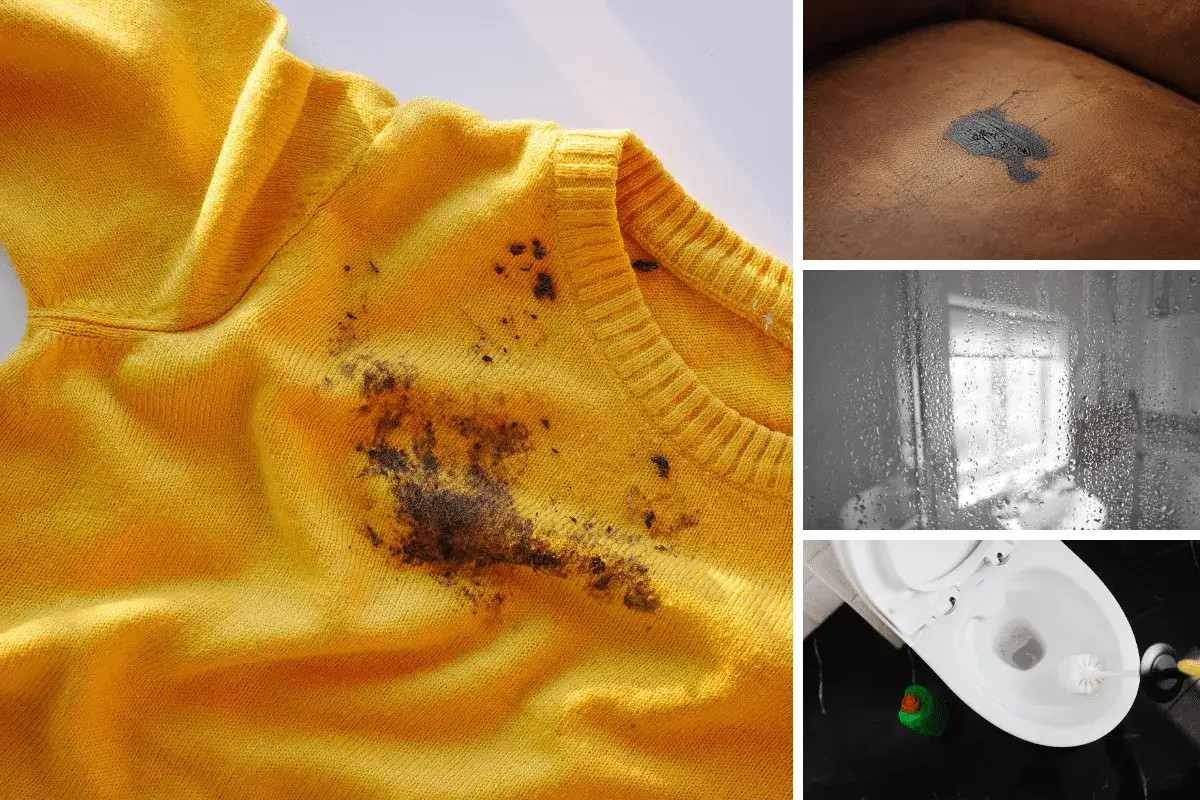 Maglione giallo con macchie scure sulla lana. In alto a destra, una macchia su un divano. Sotto, una finestra appannata e un water.